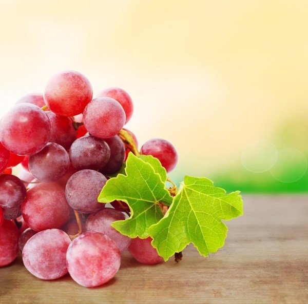 Виноград Лідія - один з найбільш звичних і улюблених сортів серед садівників любителів
