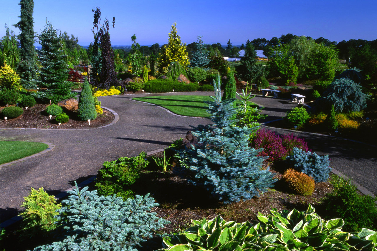 Зелені насадження в саду - це не тільки природна декорація і чудовий інструмент для побудови ландшафтного дизайну, а й чисте повітря, що несе здоров'я його мешканцям і гостям