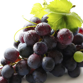 Виноград є дуже цінною і найбільш поширеною ягідної культурою