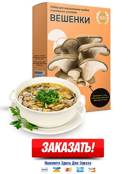 Глива звичайна (устрична) - дуже смачний з представників грибів-сапрофітів