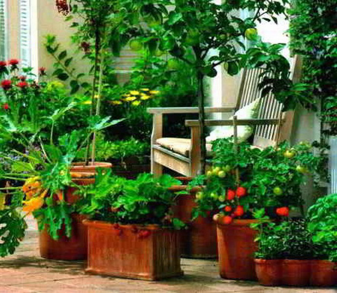 Якщо ви хотіли б збирати свіжий і смачний урожай прямо з грядки, і любите вирощувати рослини і квіти, для вас не складе труднощів організувати город на балконі