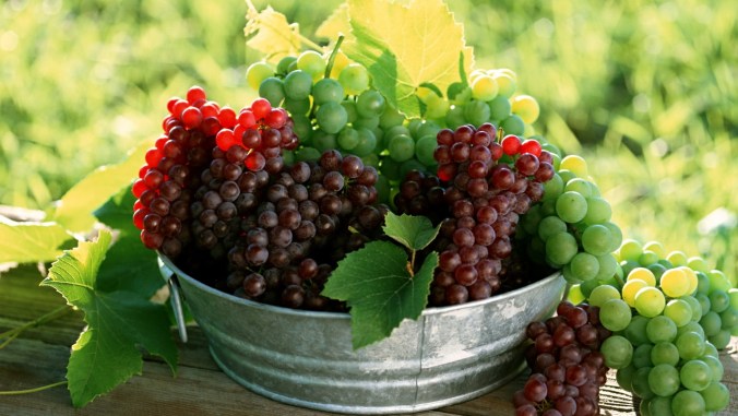 Різновиди ягід винограду